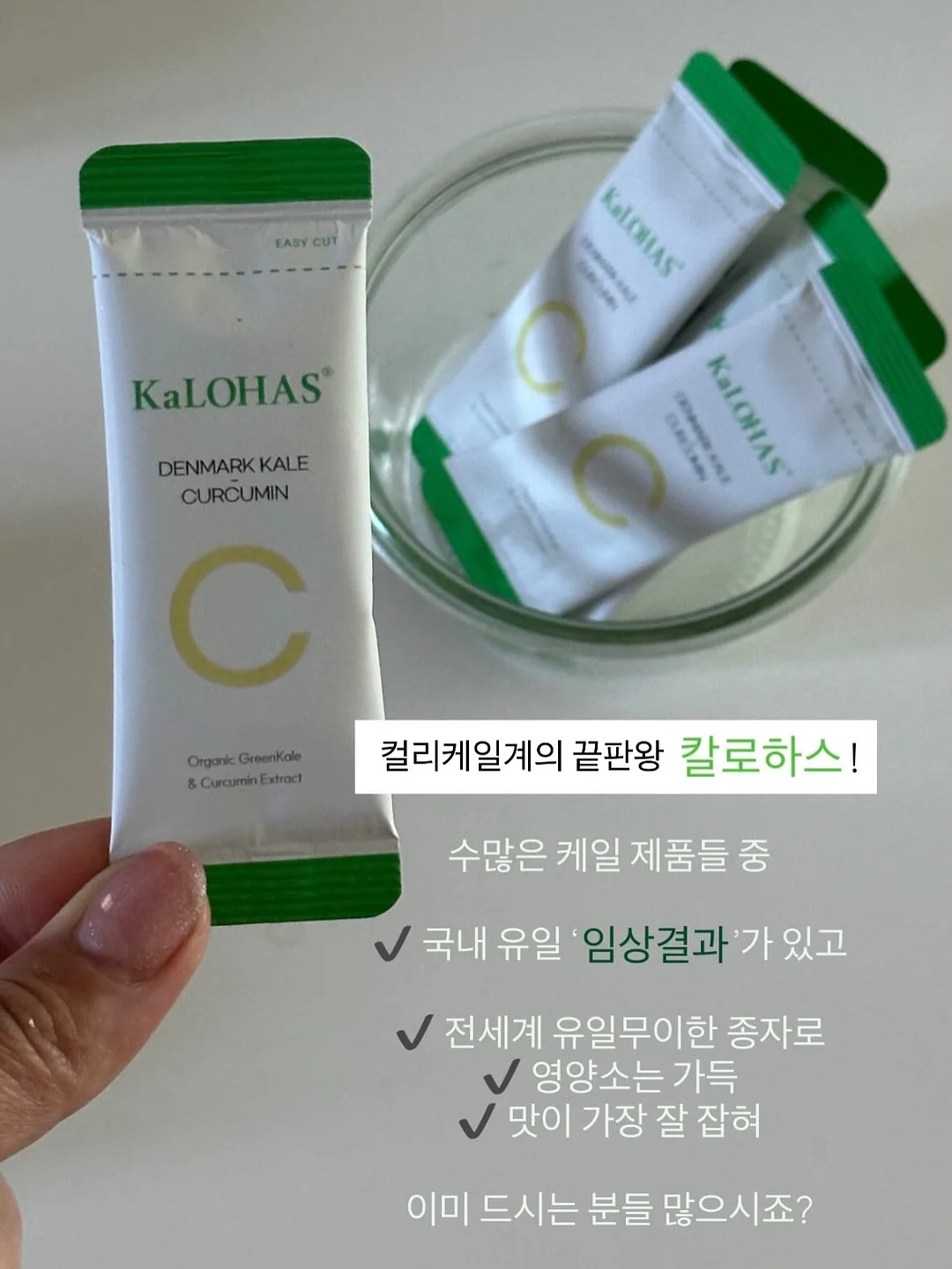 바퀴벌레 이야기 3