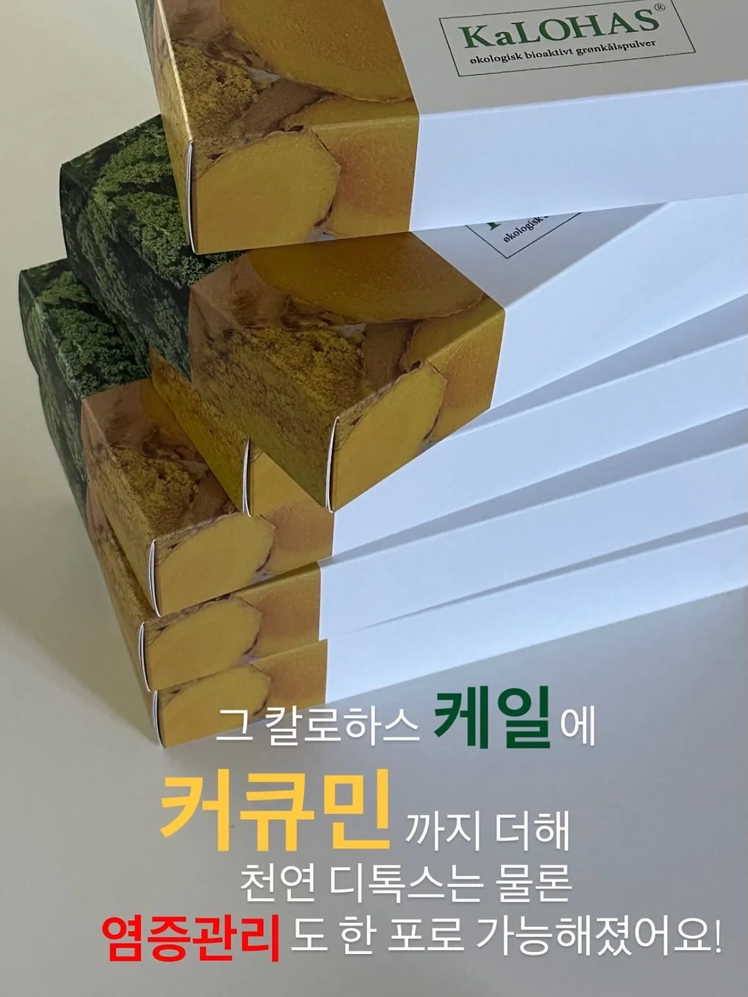 바퀴벌레 이야기 4