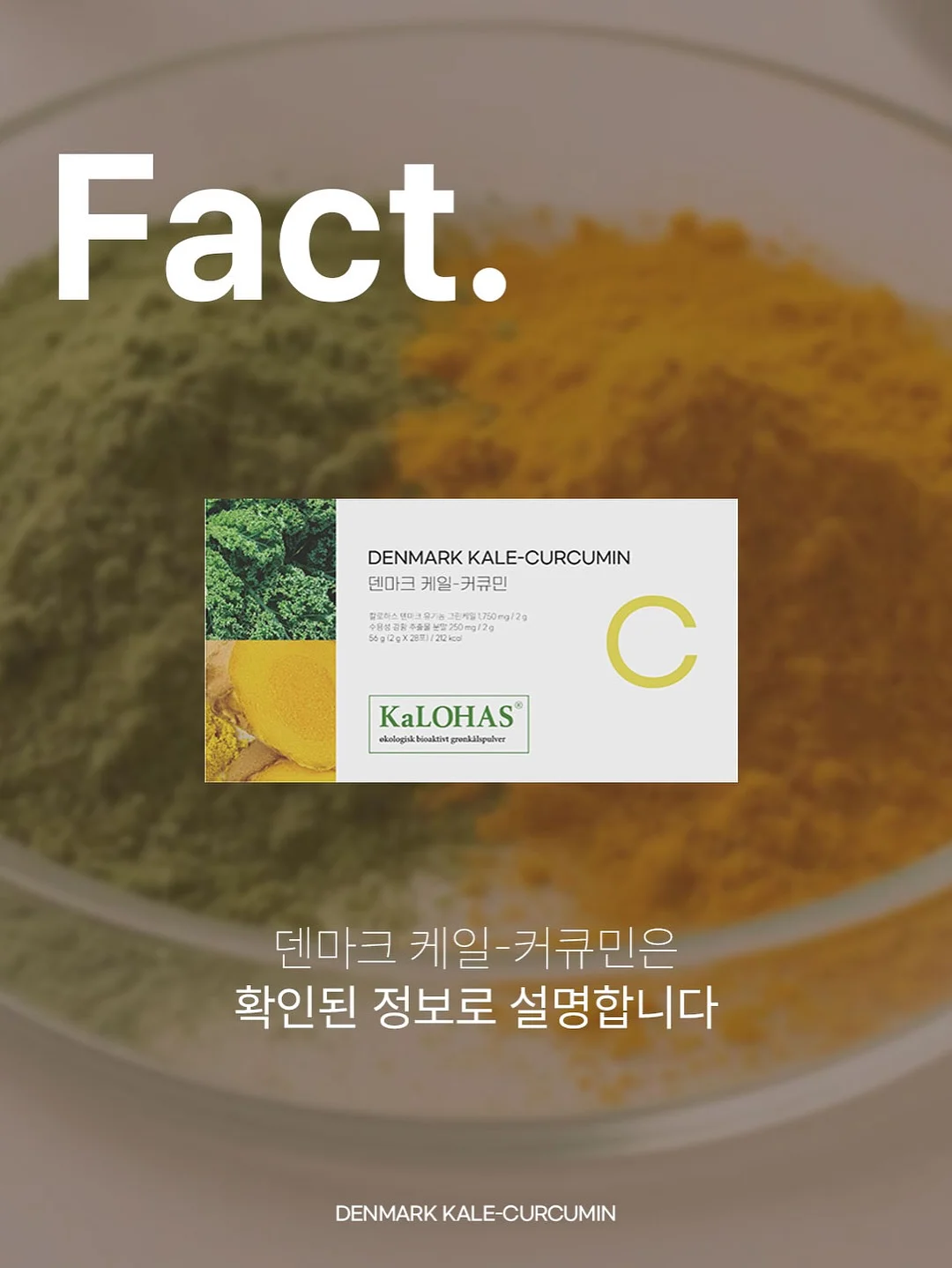 바퀴벌레 이야기 5