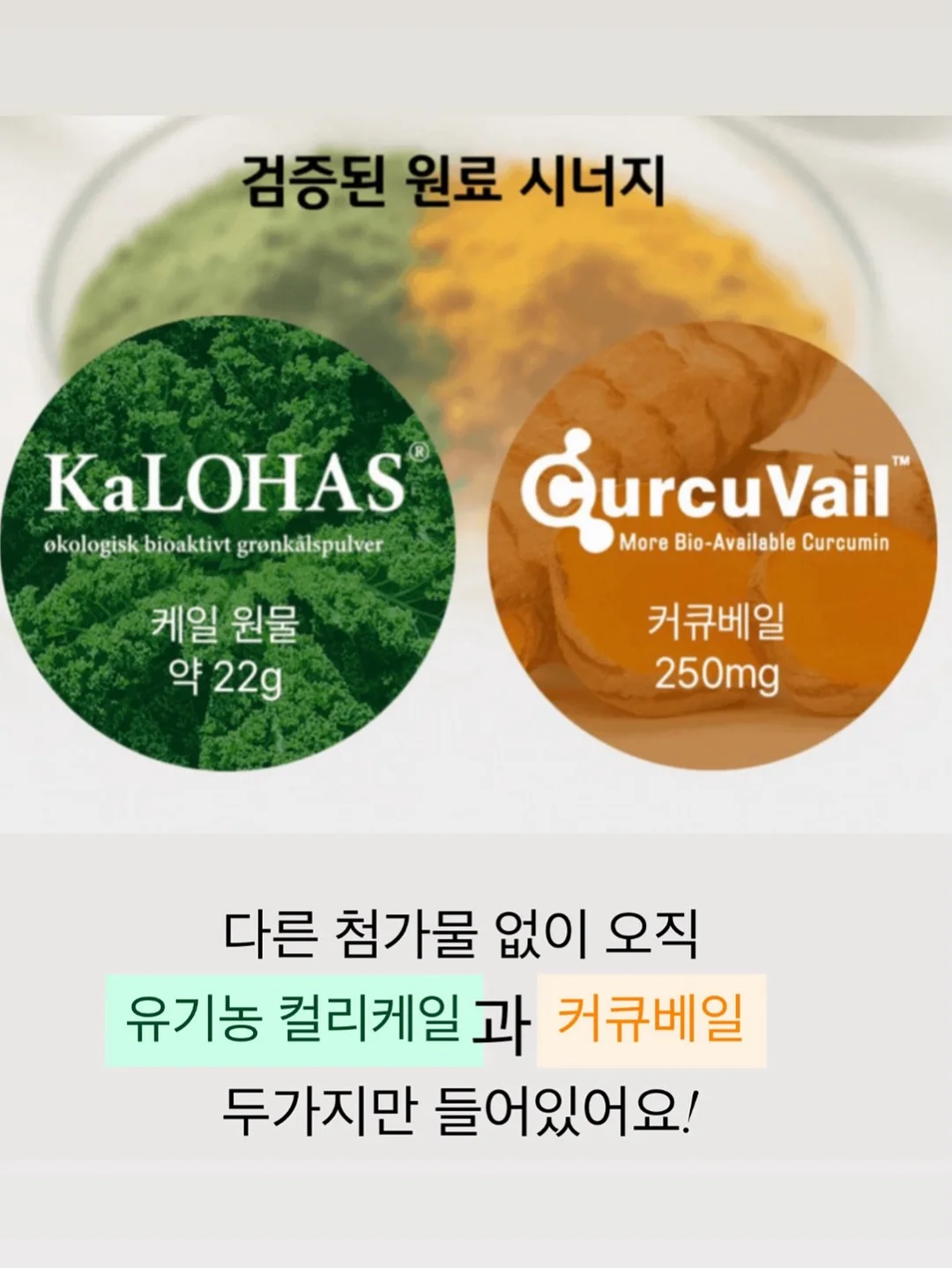 바퀴벌레 이야기 7