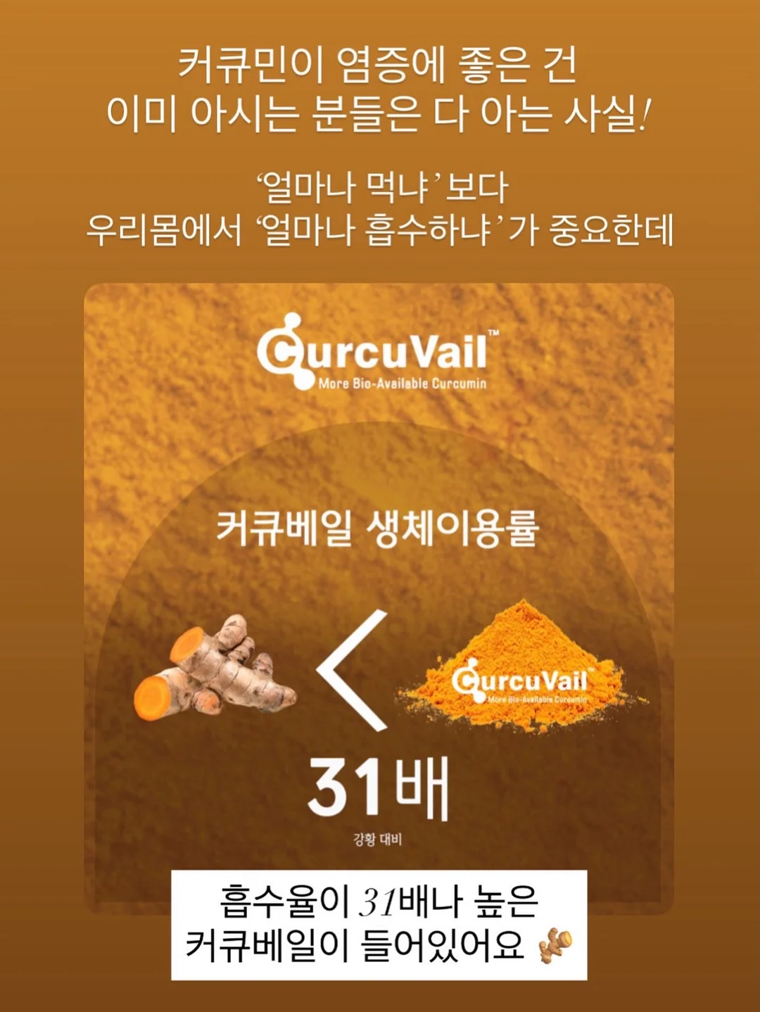 바퀴벌레 이야기 9