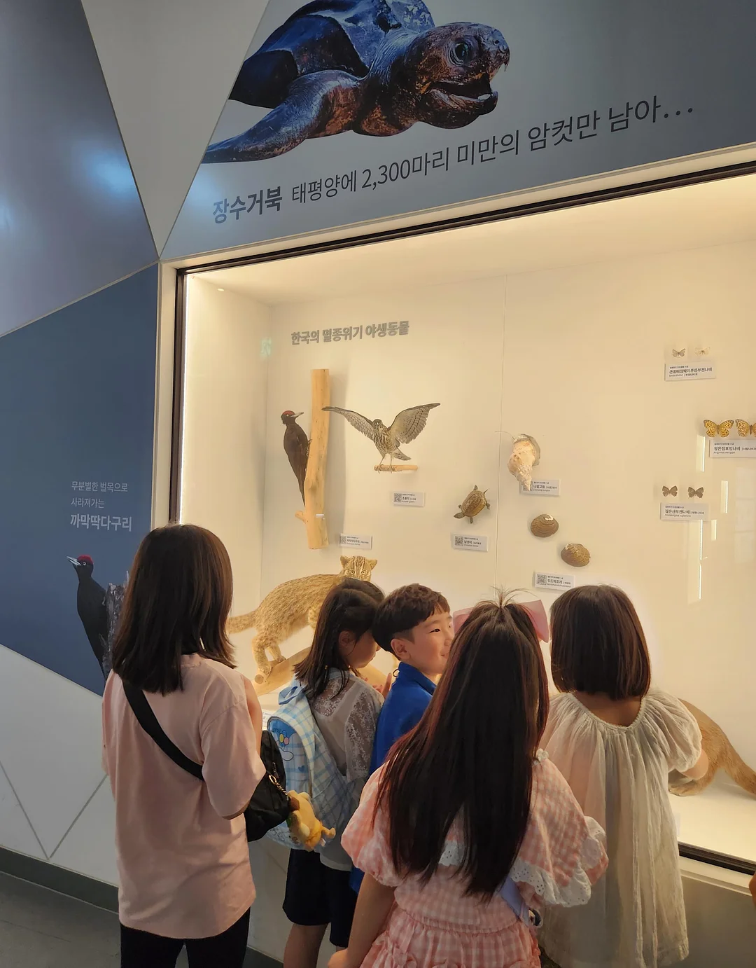 여름 바지 15