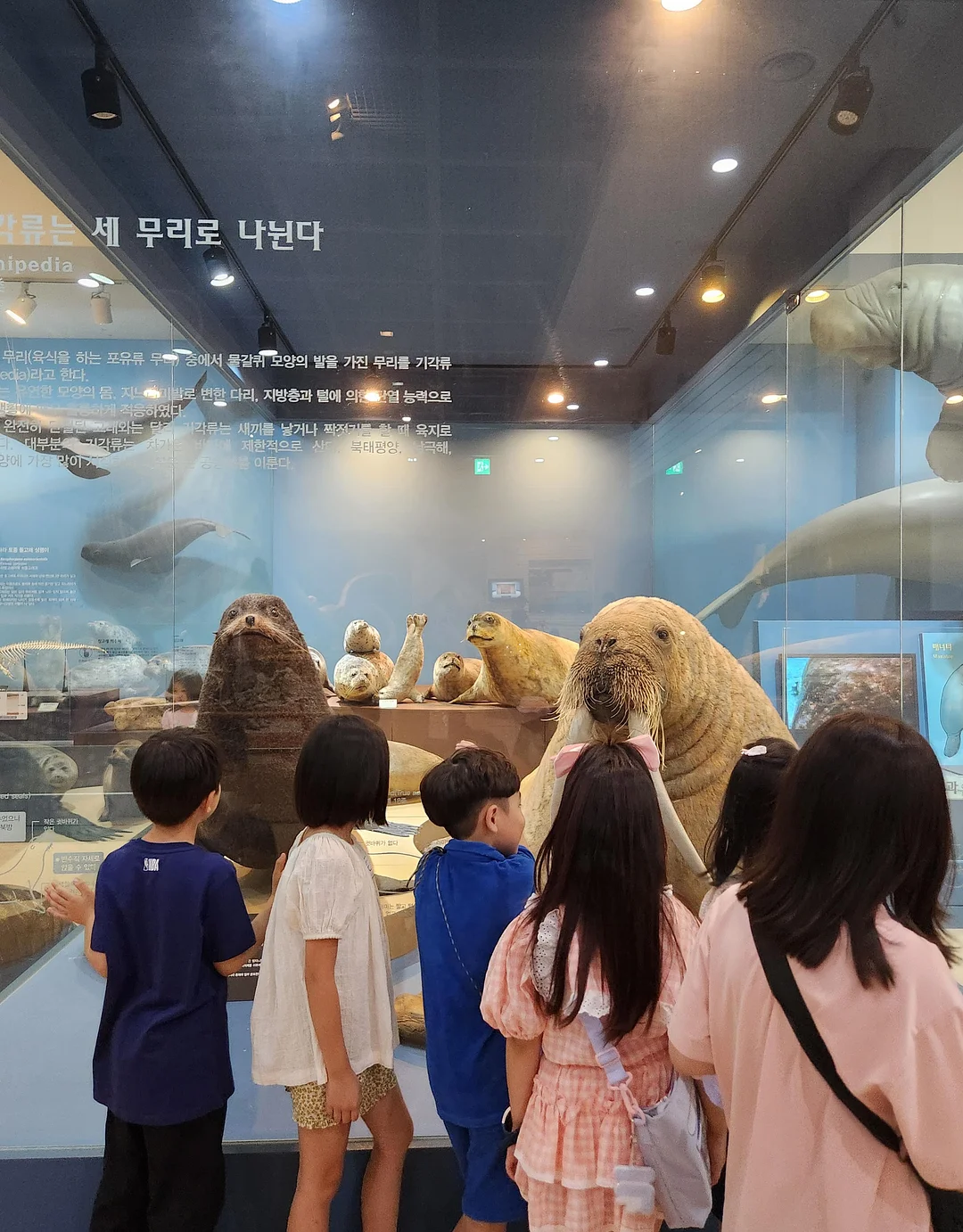 여름 바지 16