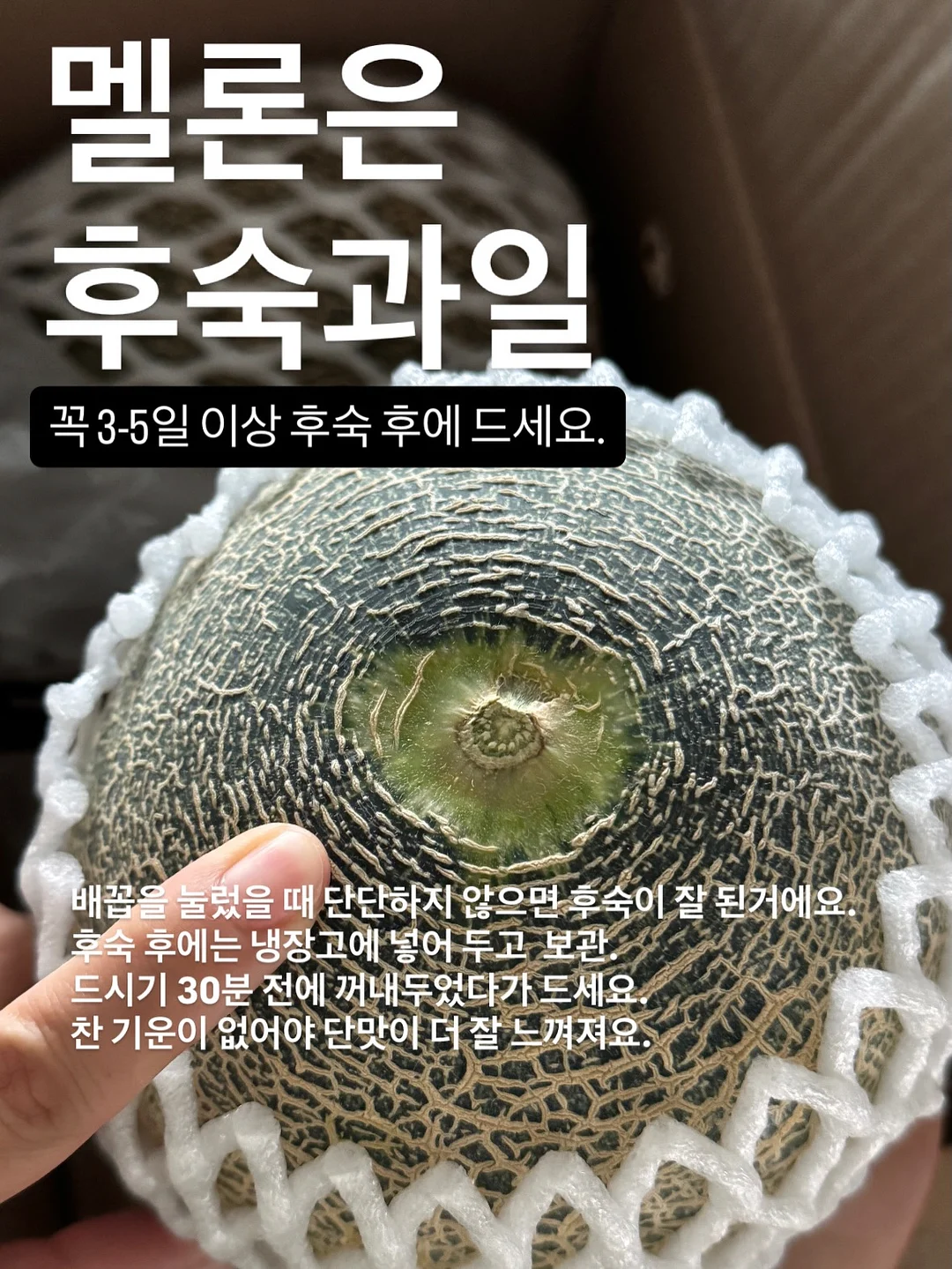 마녀스프 12