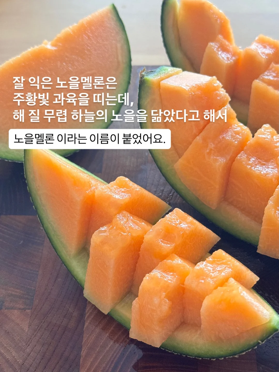 마녀스프 6