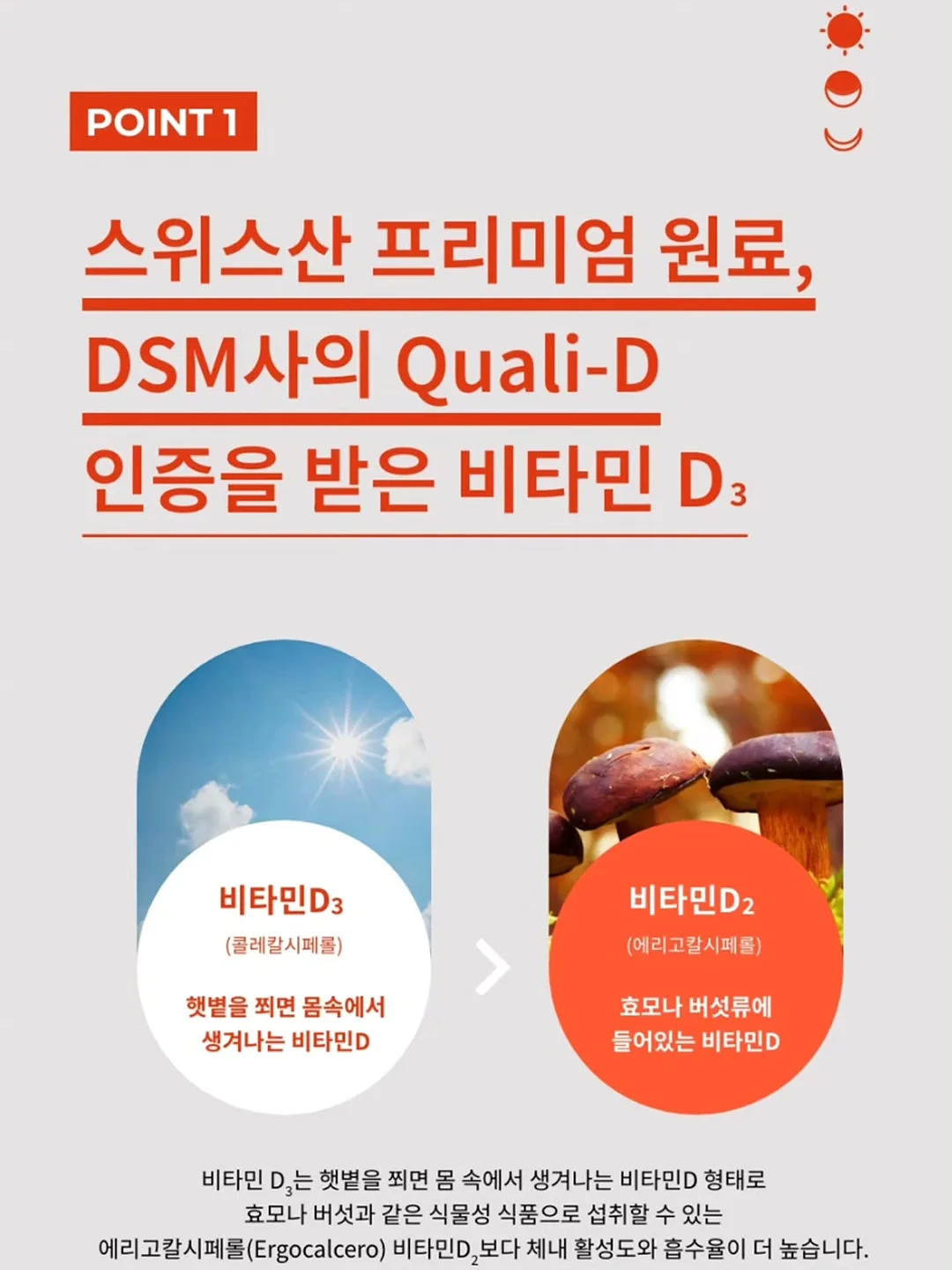 단톤 포켓 반팔티 3
