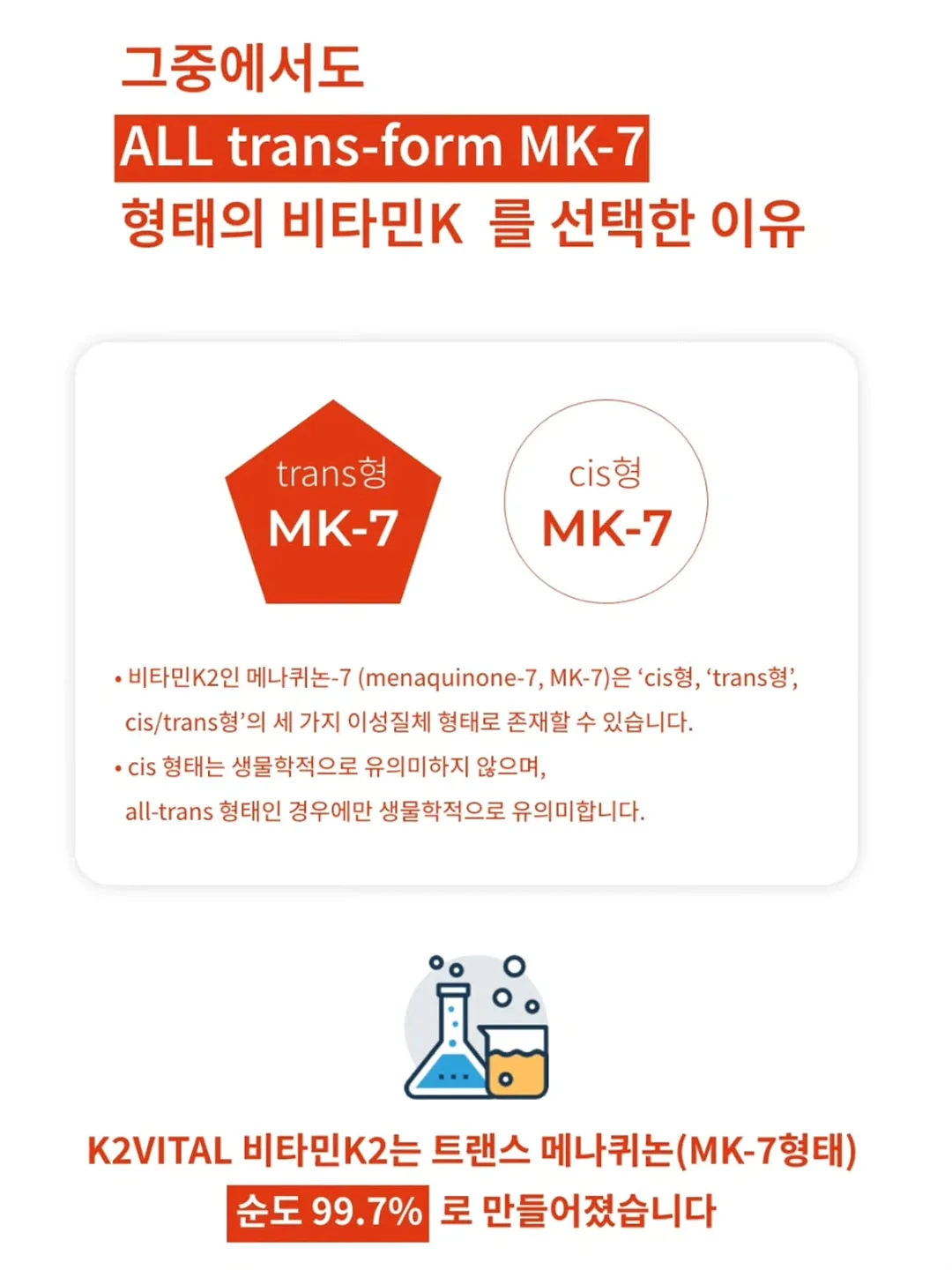 단톤 포켓 반팔티 6