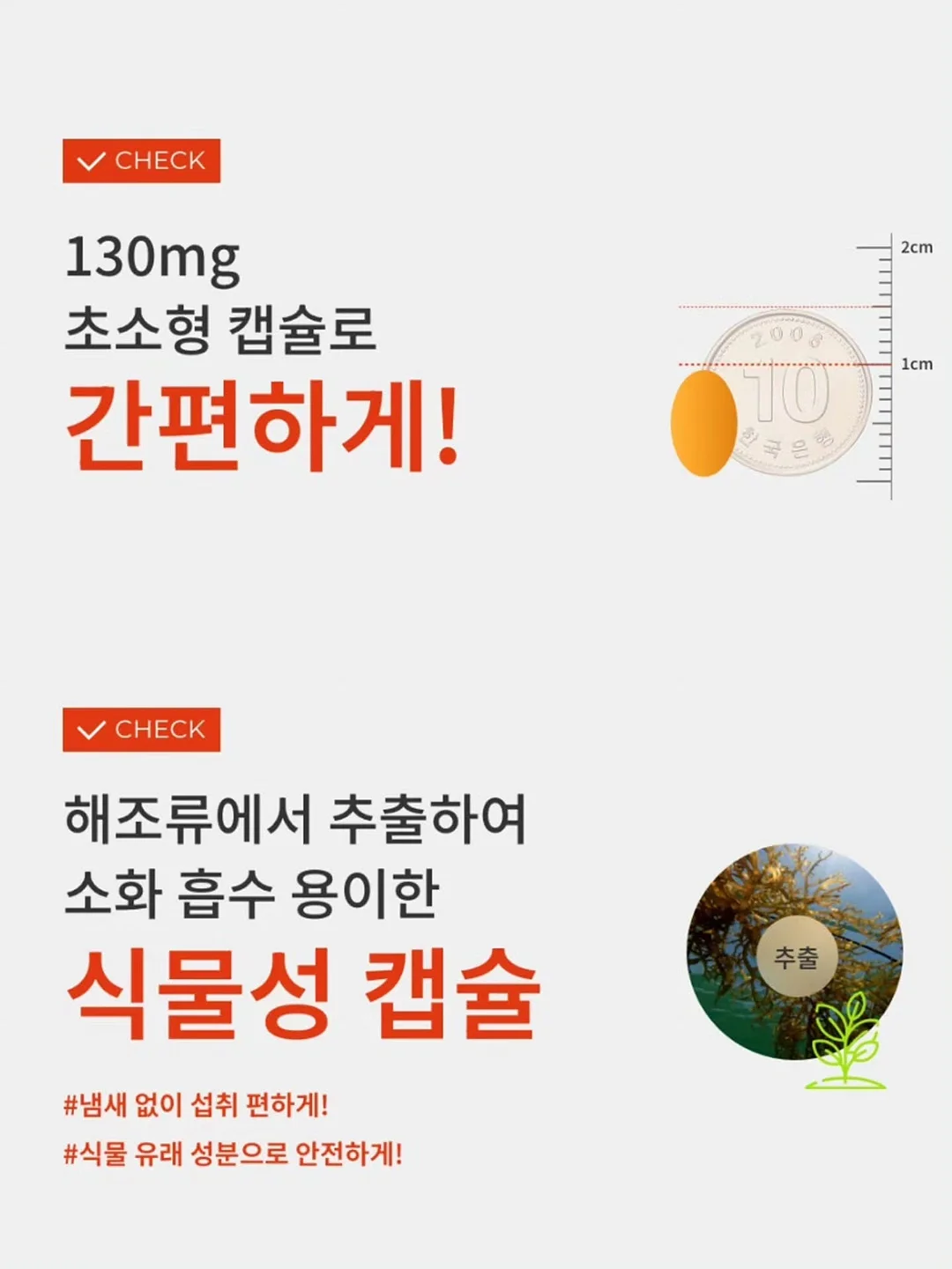 단톤 포켓 반팔티 8