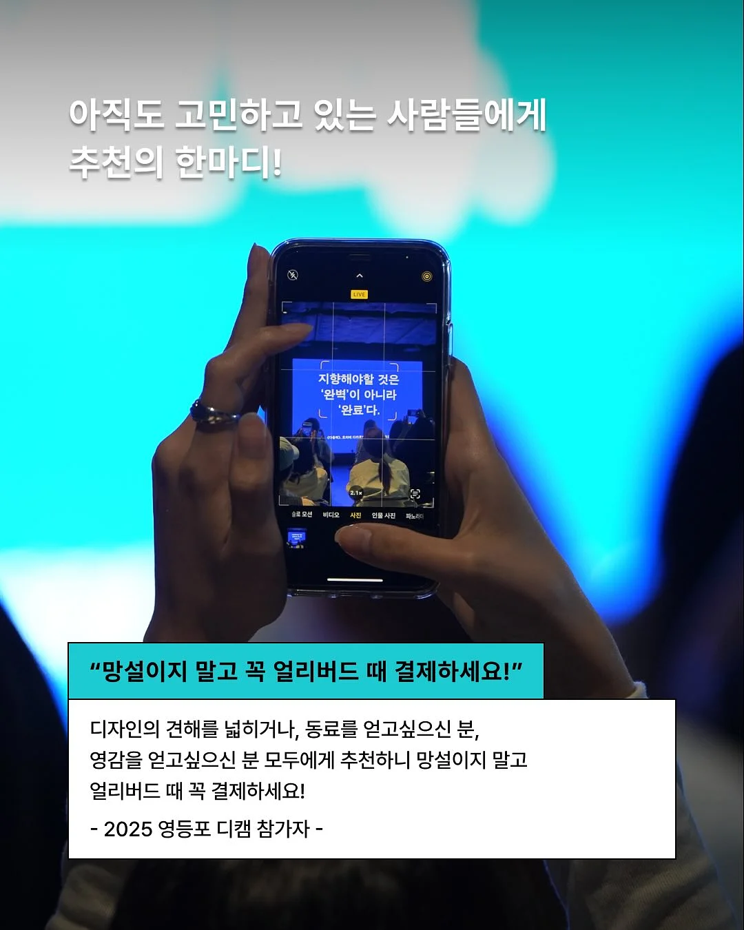 갑오징어 6