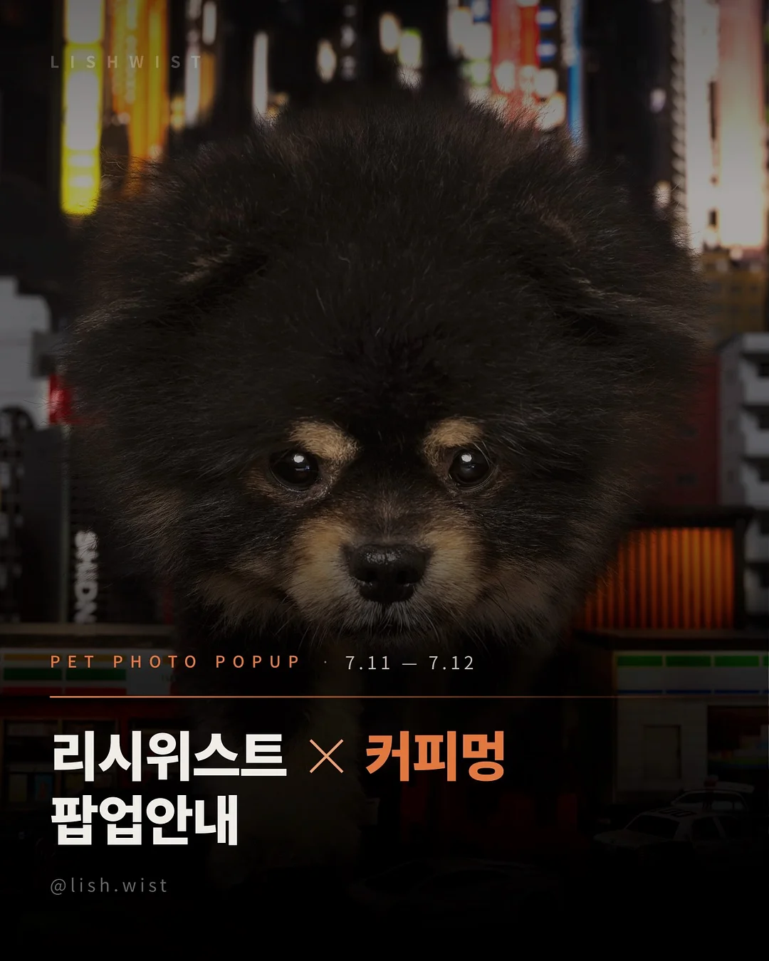 다이소 추천템 1