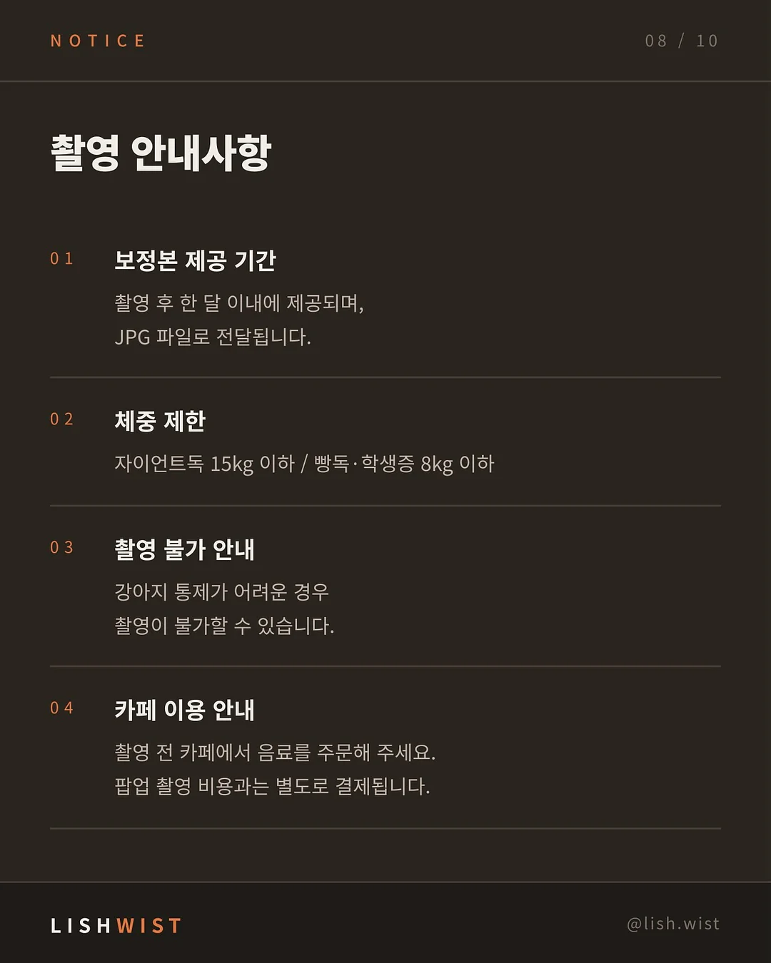 다이소 추천템 8