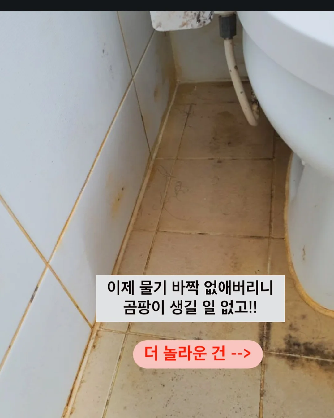 수박 오이 두부 샐러드 9
