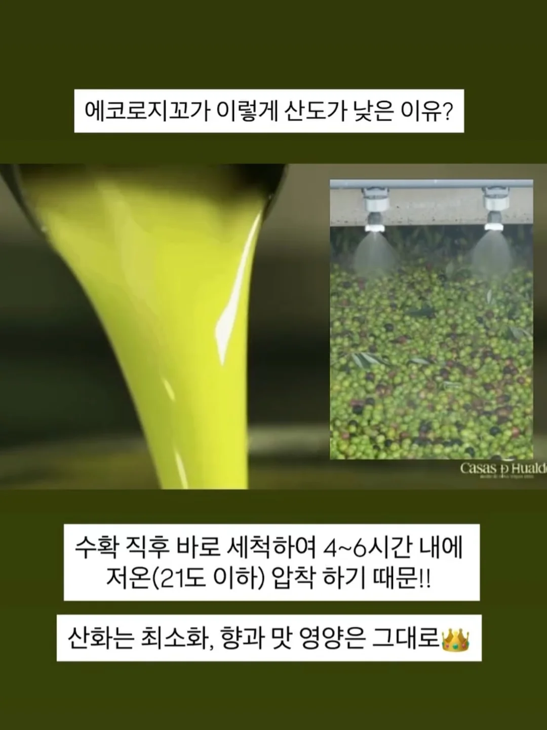 인스타그램 프로필 편집 가이드 pdf 13