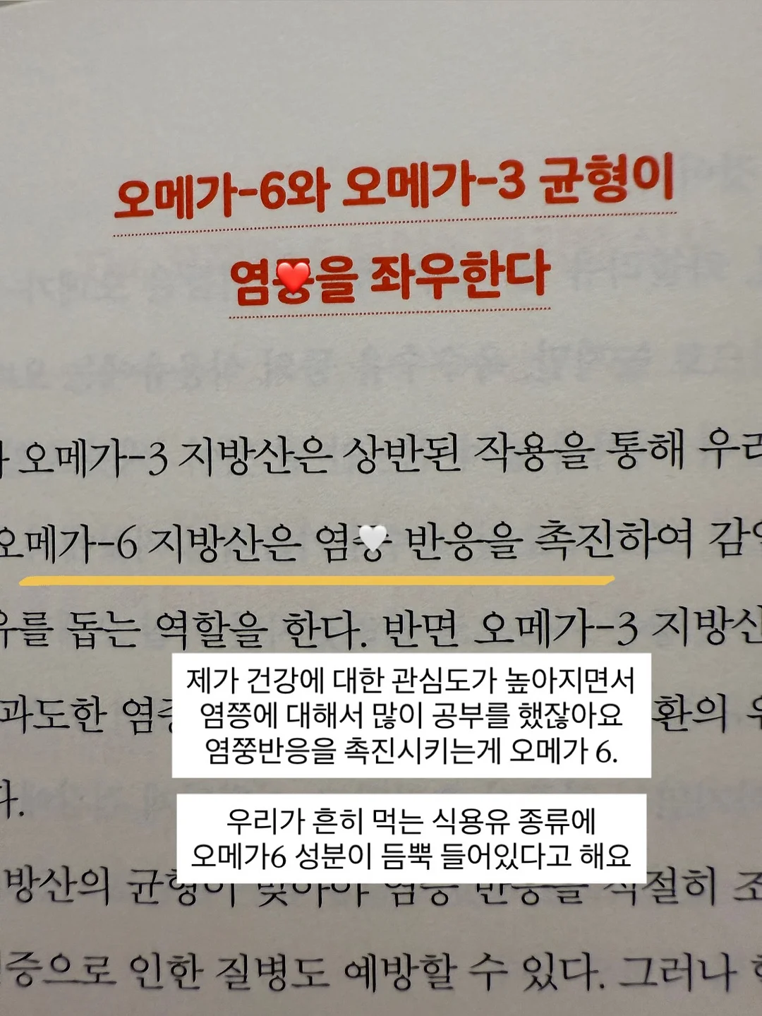 인스타그램 프로필 편집 가이드 pdf 5