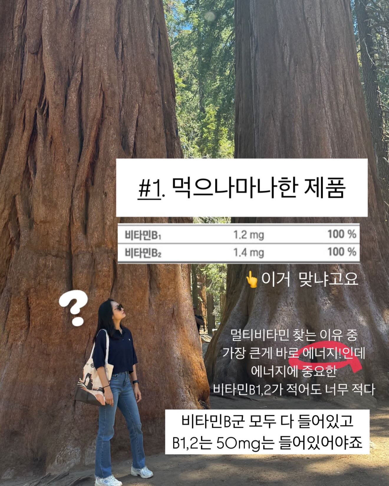 필로 5