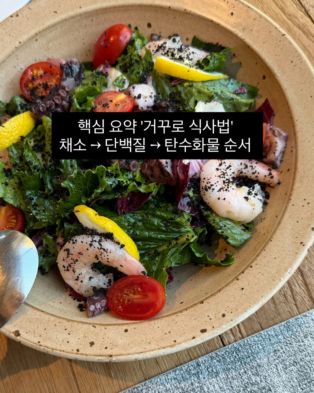 오아시스데이 5