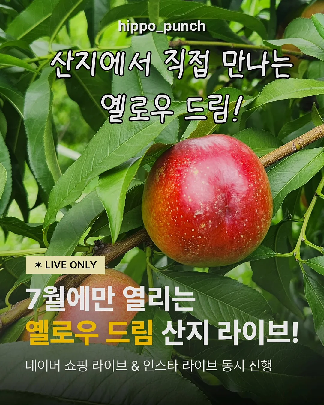 휴대용 부싯돌