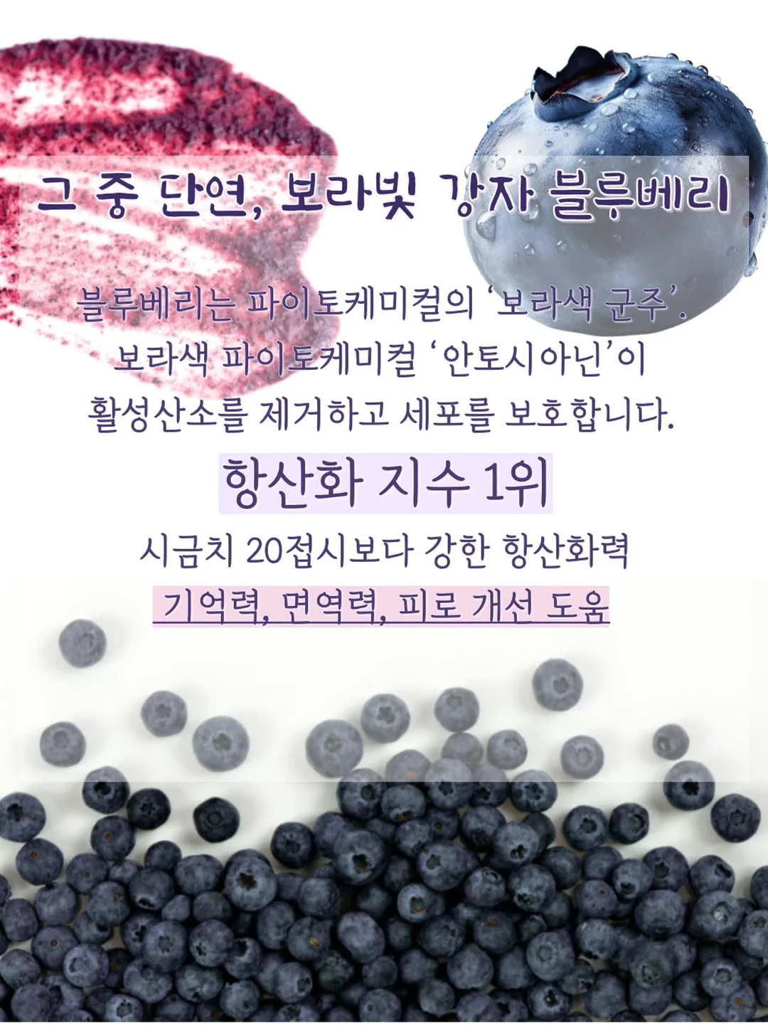 레브 블라우스 12