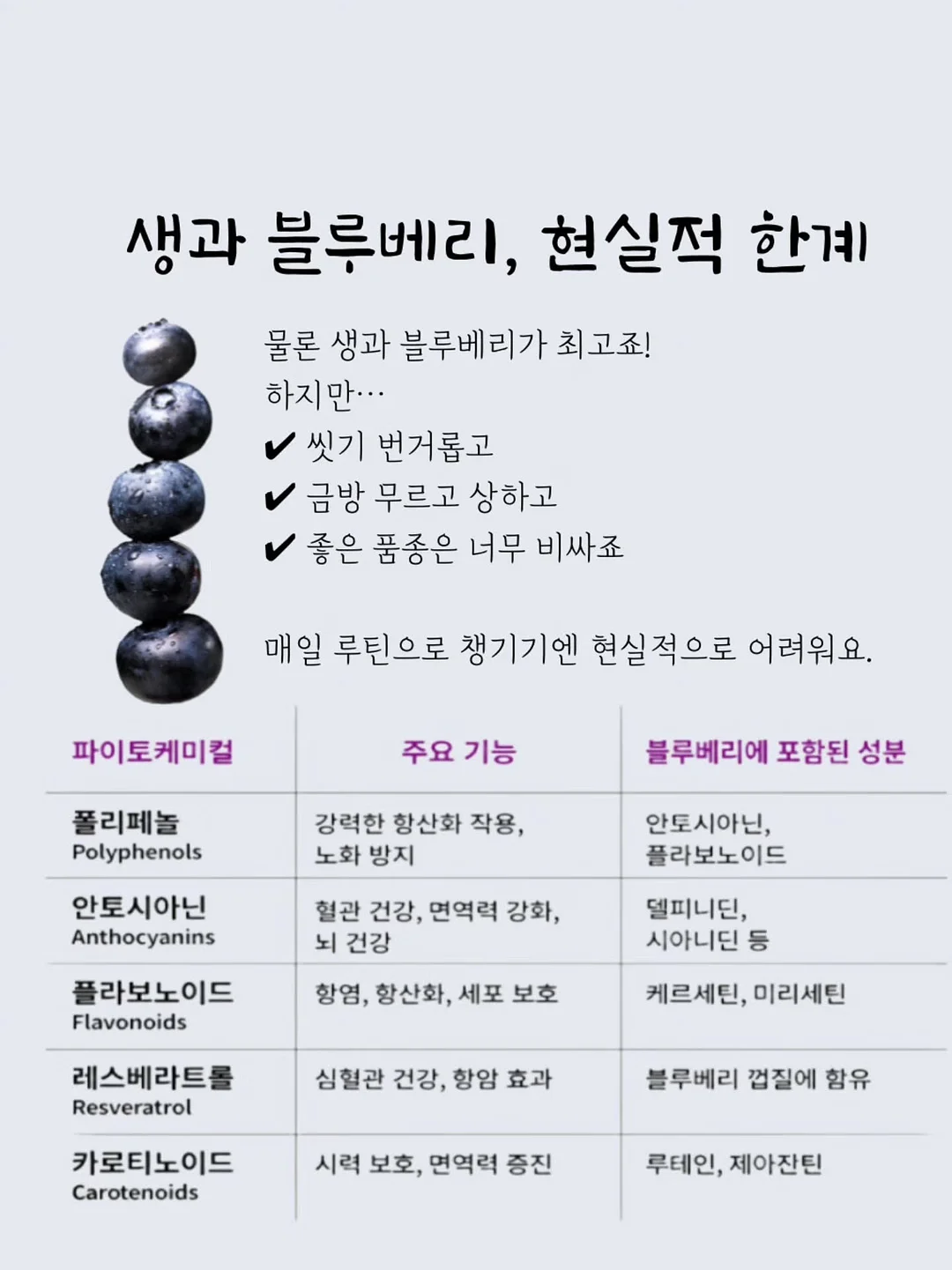 레브 블라우스 13