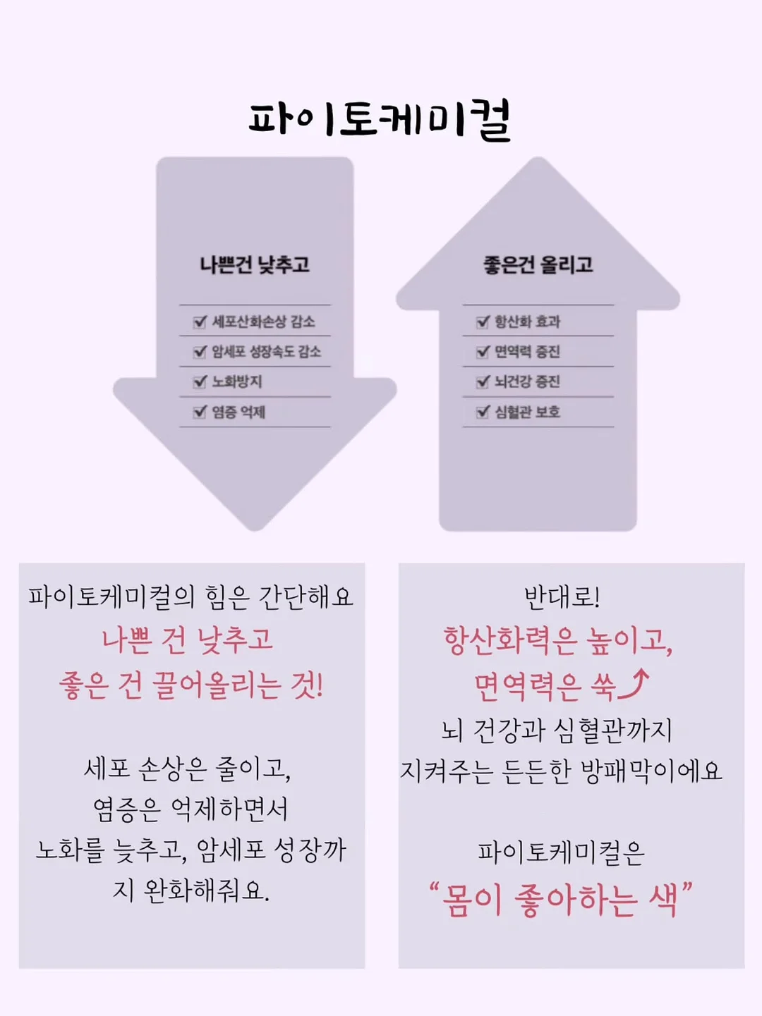 레브 블라우스 9