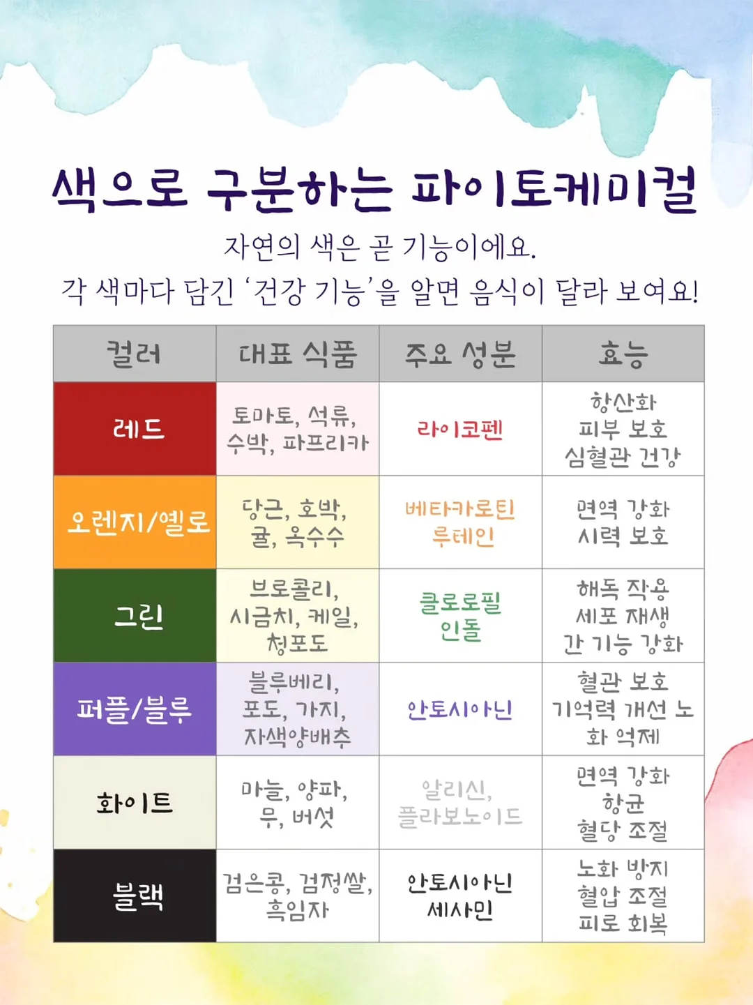 레브 블라우스 10