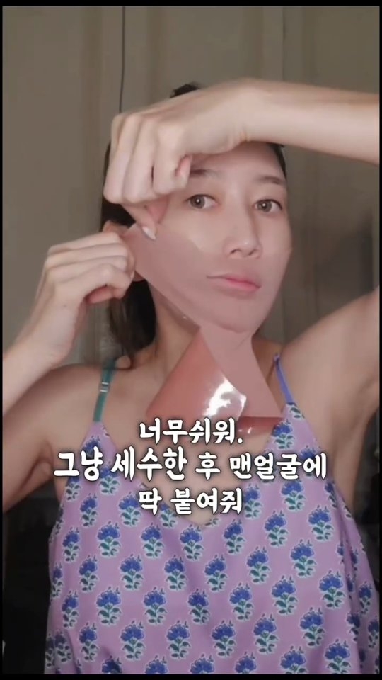 먼지털이