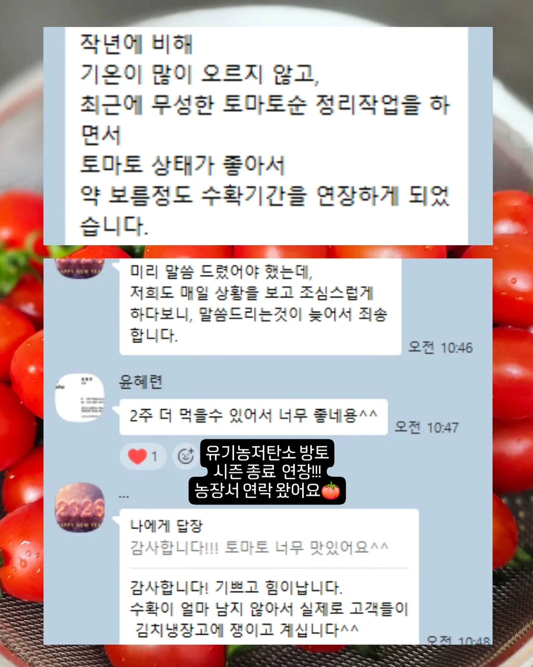 이유식 용기 보온병 1