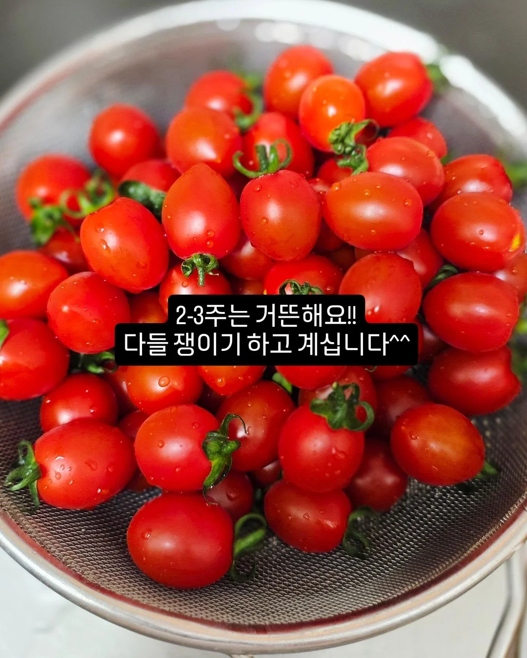 이유식 용기 보온병 4