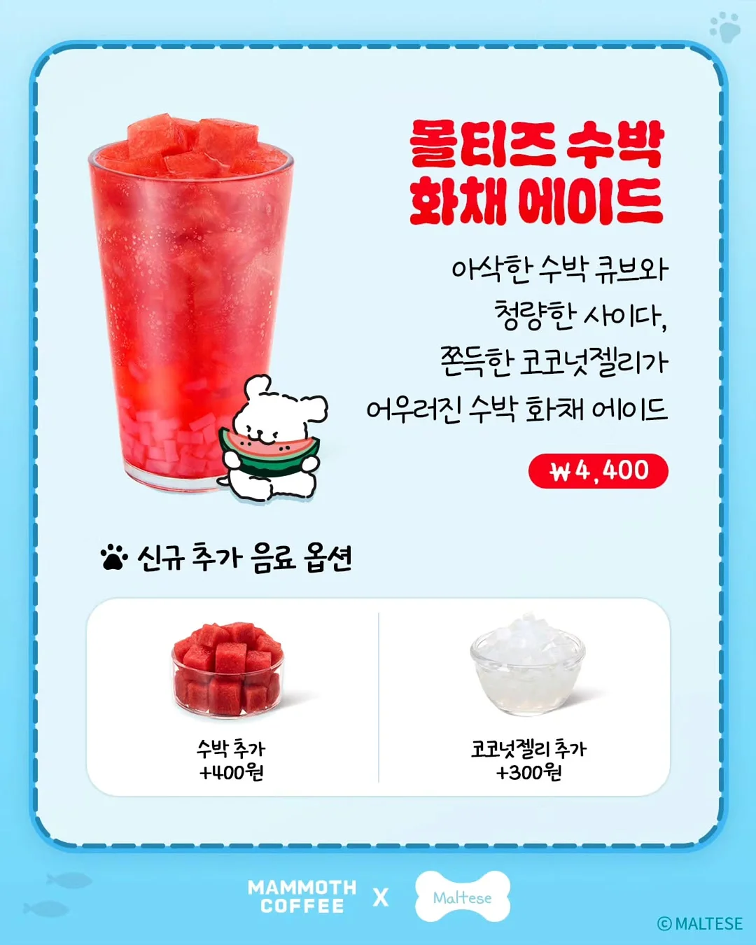 xs사이즈 다발 2