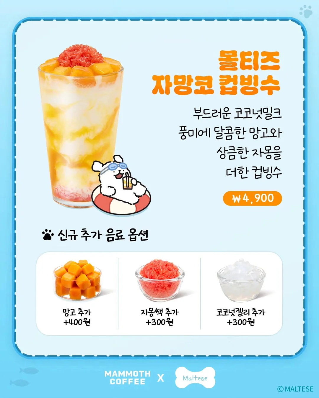 xs사이즈 다발 3