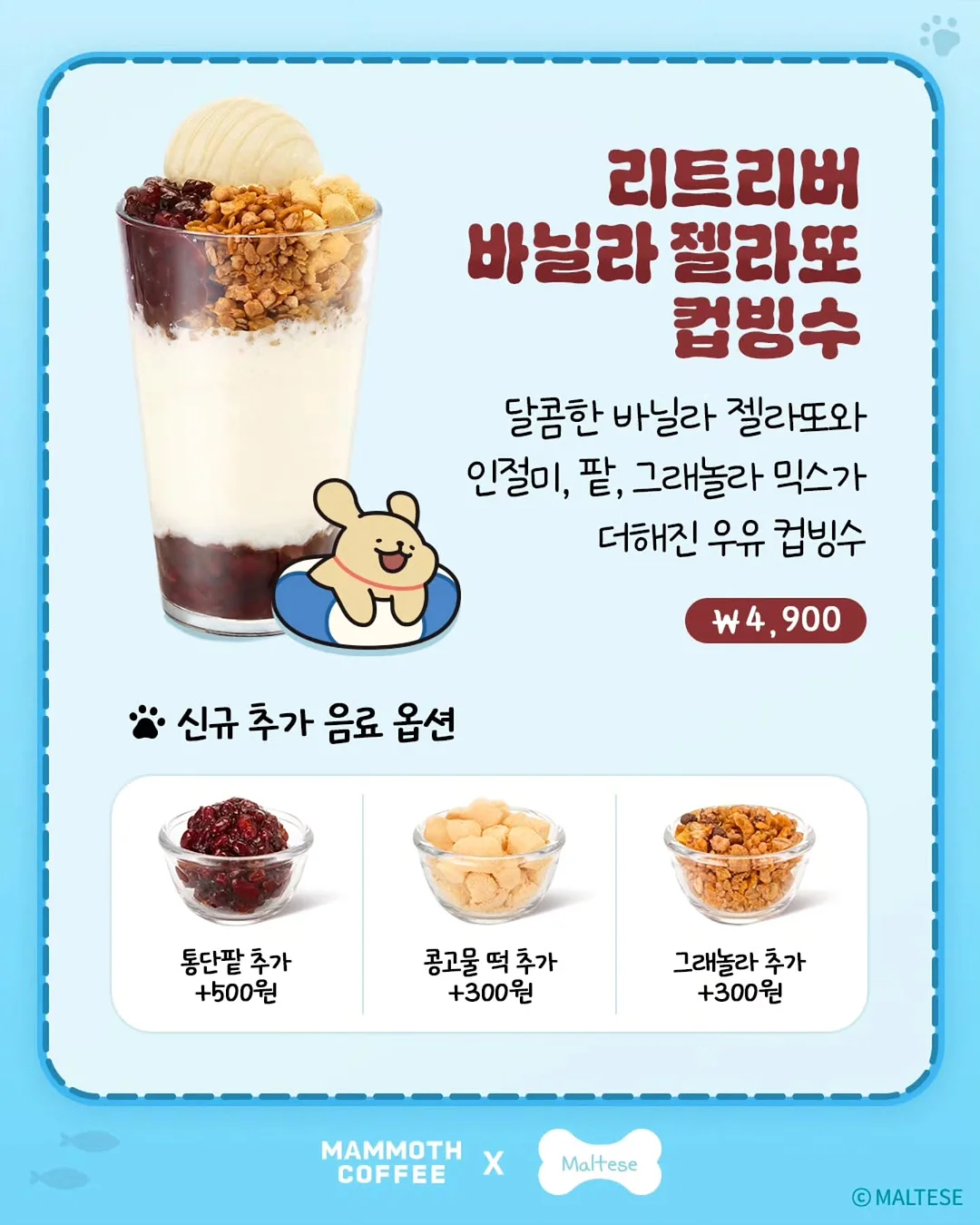 xs사이즈 다발 4
