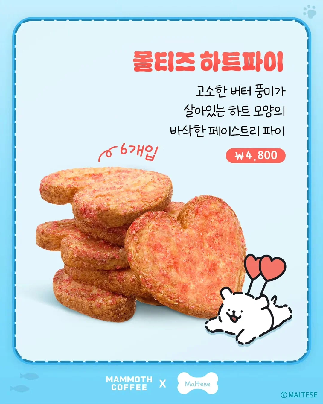 xs사이즈 다발 5