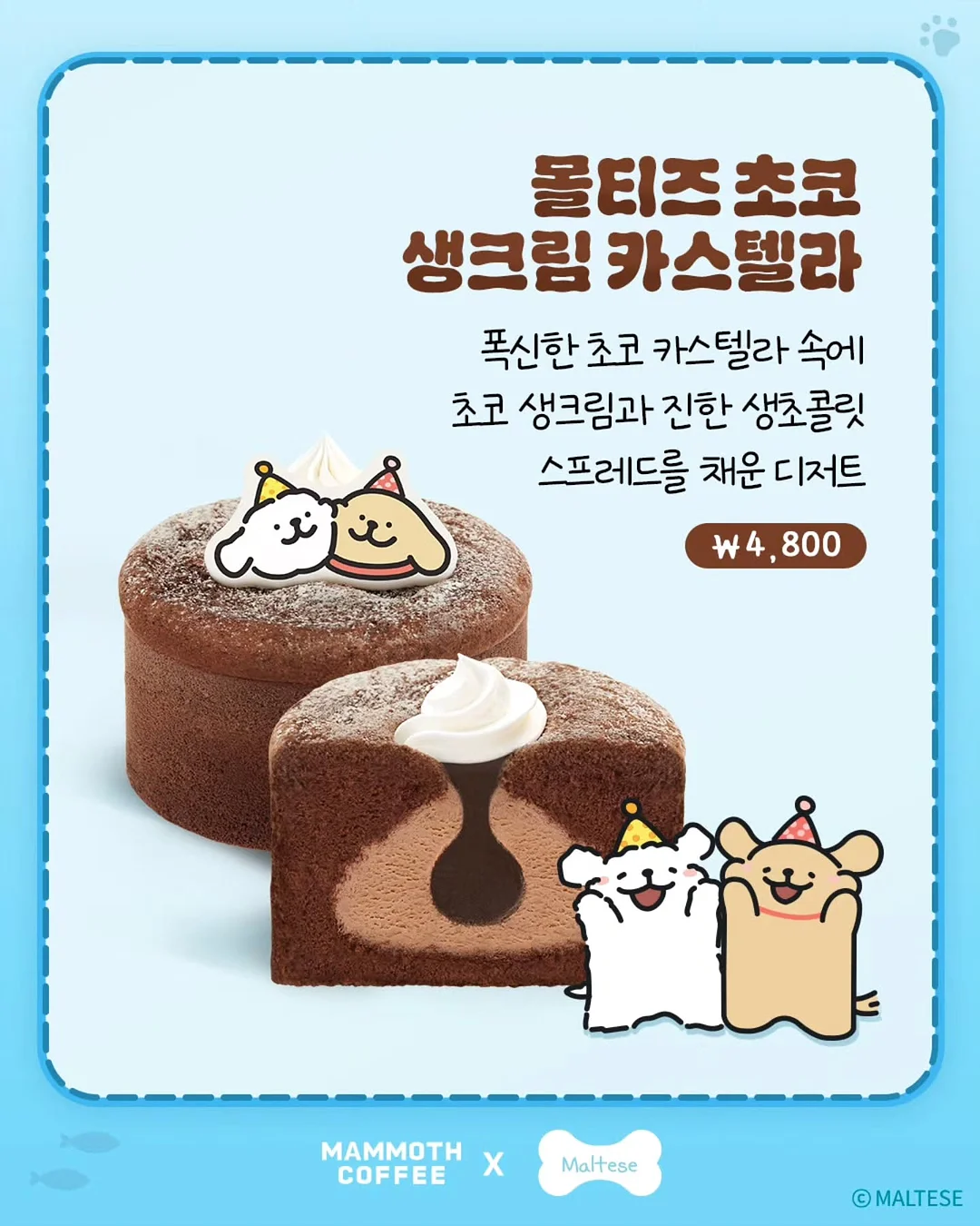 xs사이즈 다발 6