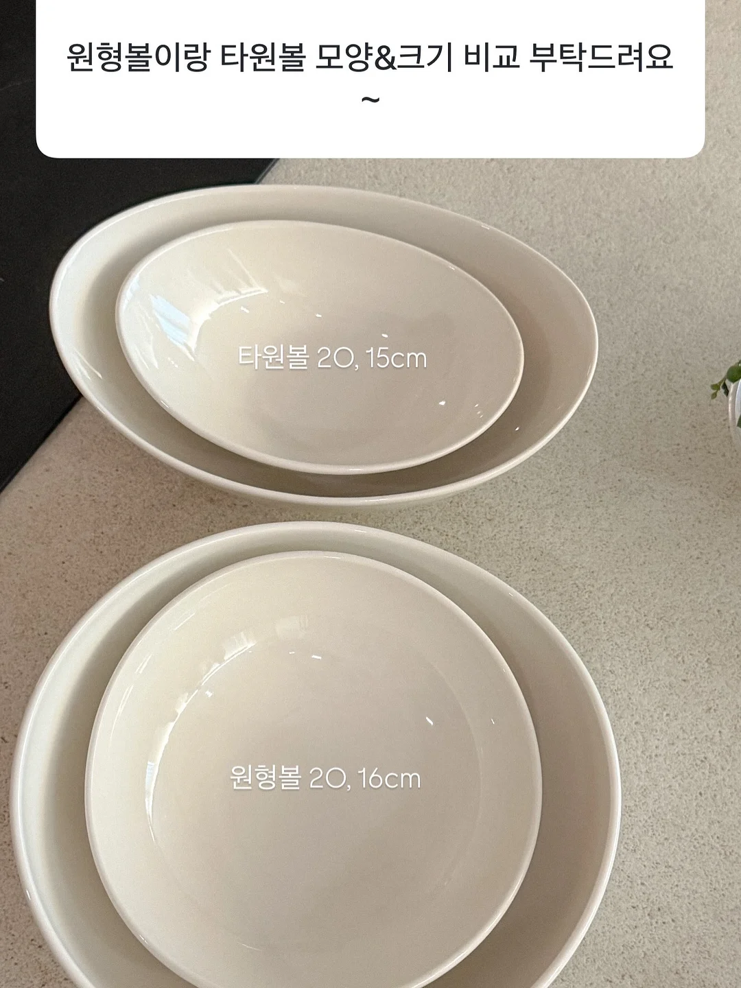 단톤 반팔티 13