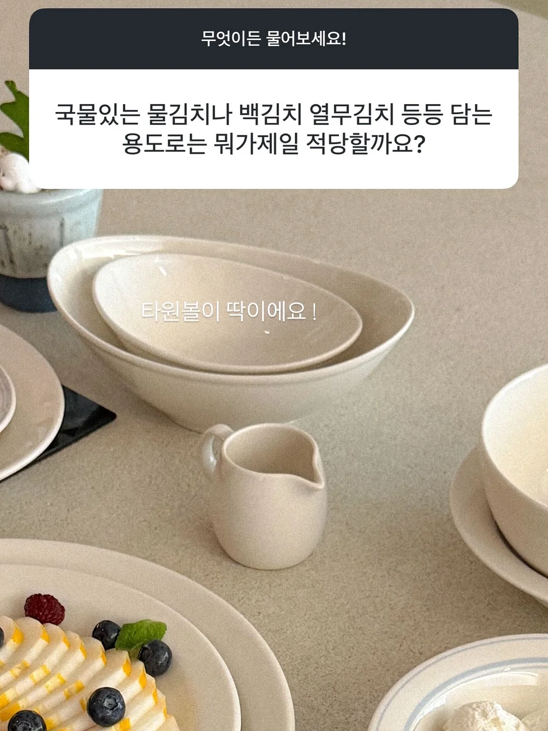 단톤 반팔티 19