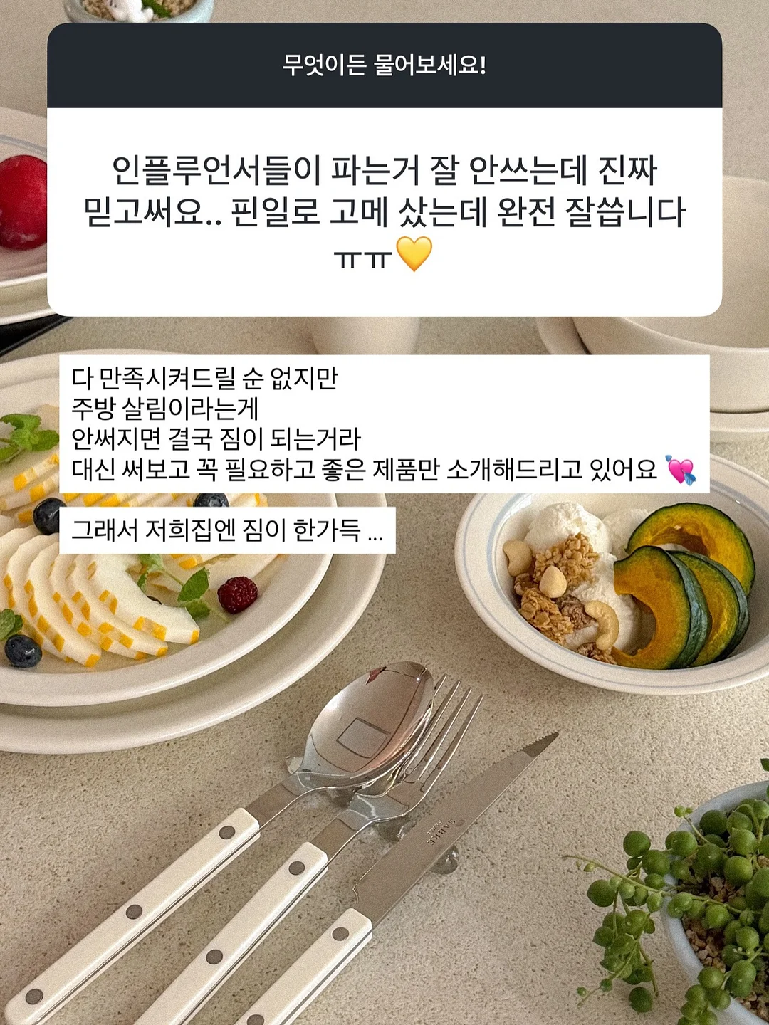 단톤 반팔티 2