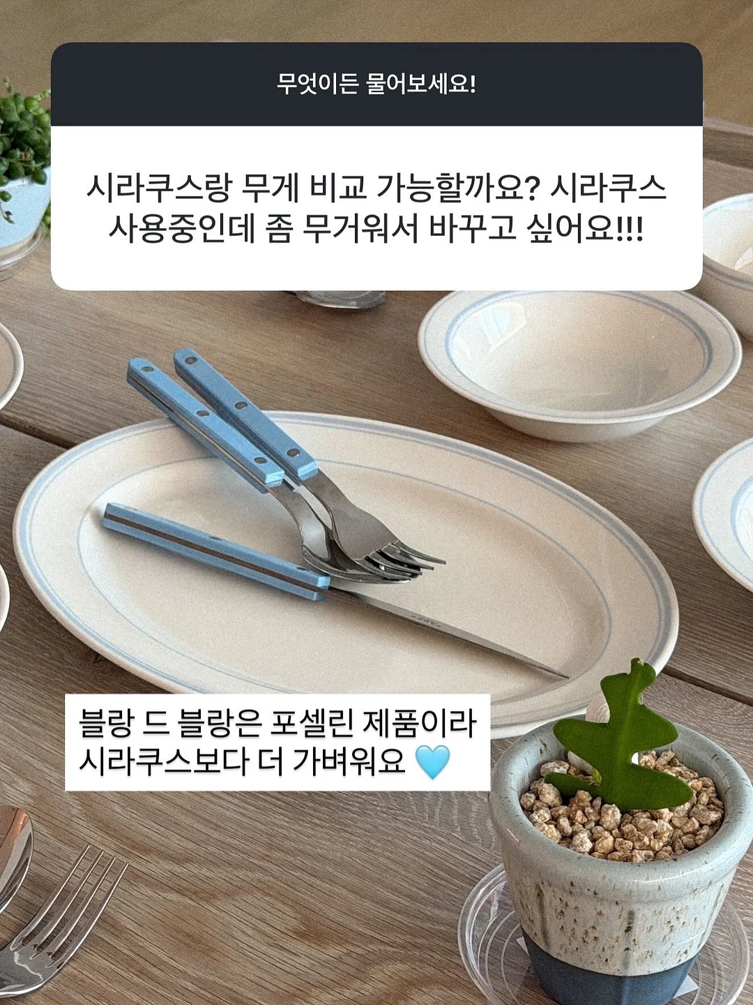단톤 반팔티 9