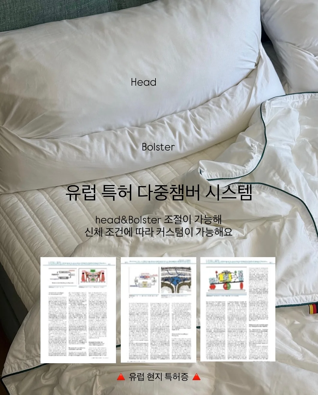 스파 브러쉬 12