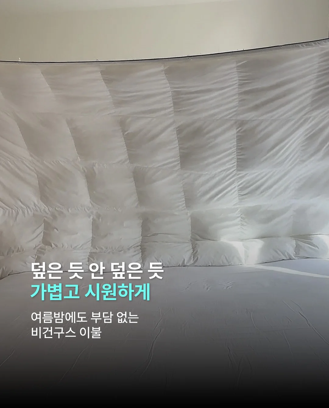 스파 브러쉬 7