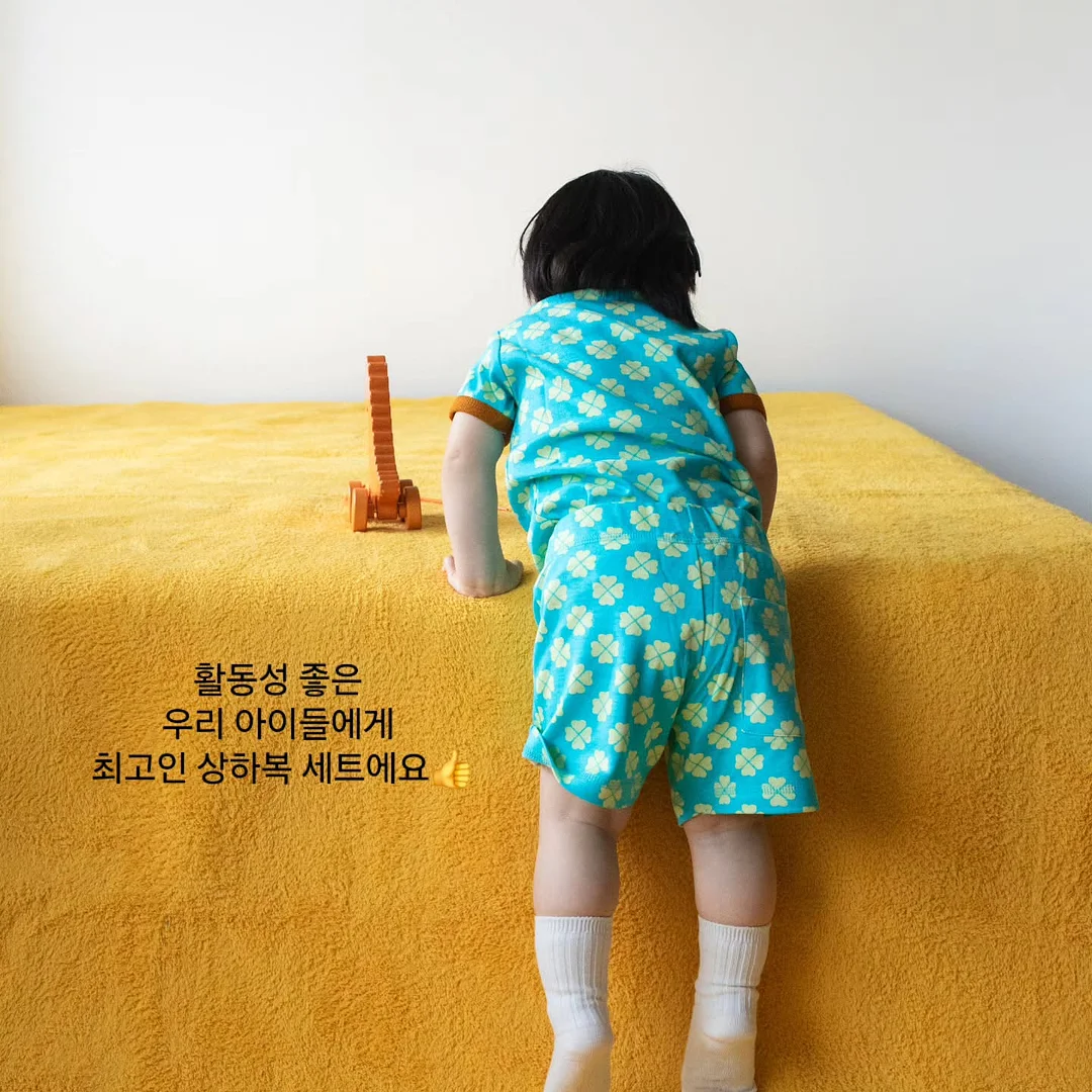 라우벤쇼코쿠키 7