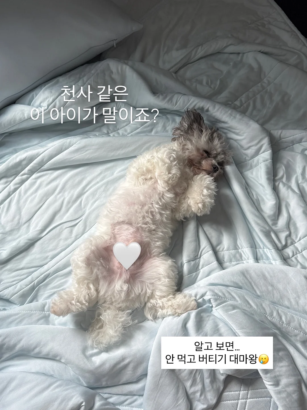 미식주간x정원예술제 1