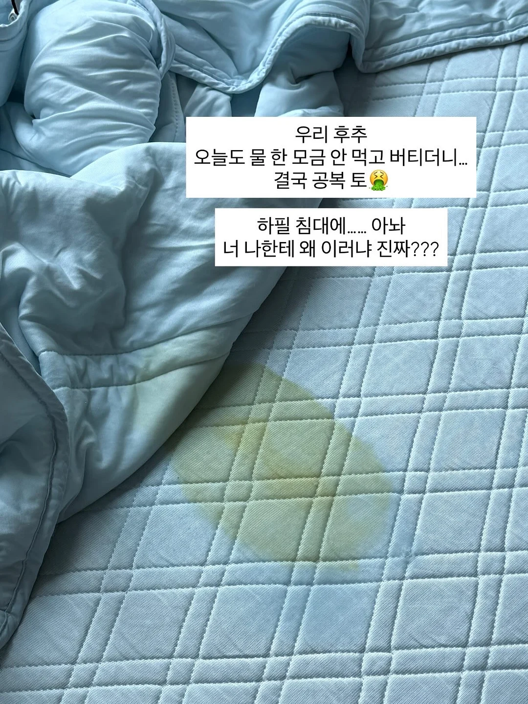 미식주간x정원예술제 2