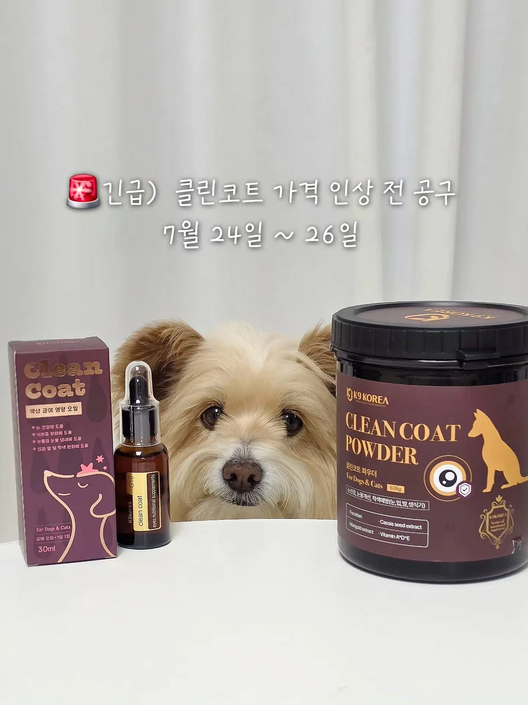 고쟁이 + 나시 조합 1