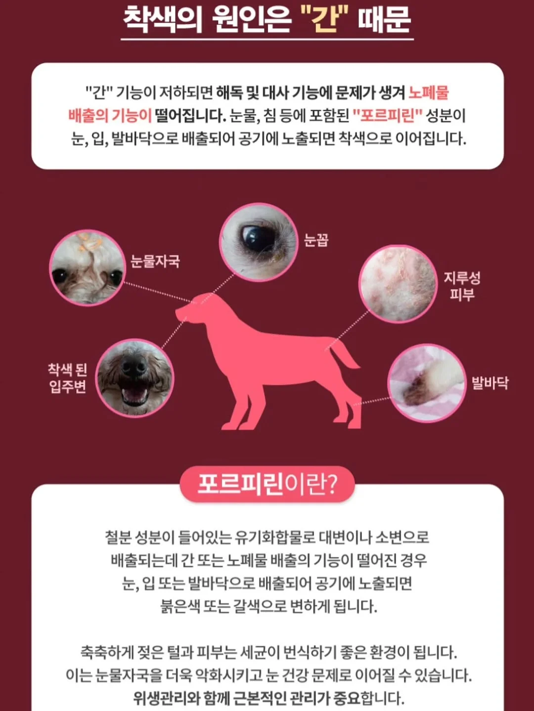 고쟁이 + 나시 조합 2
