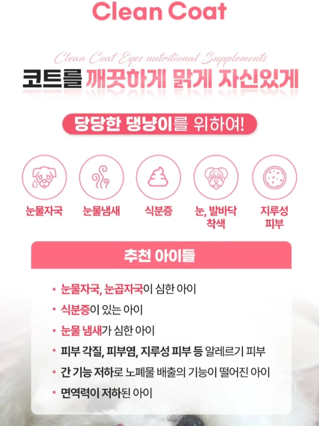고쟁이 + 나시 조합 6