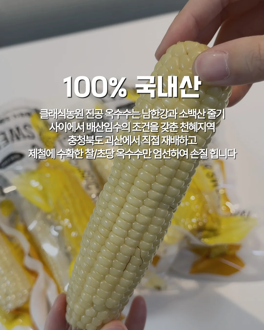 고재원목 벤치 3