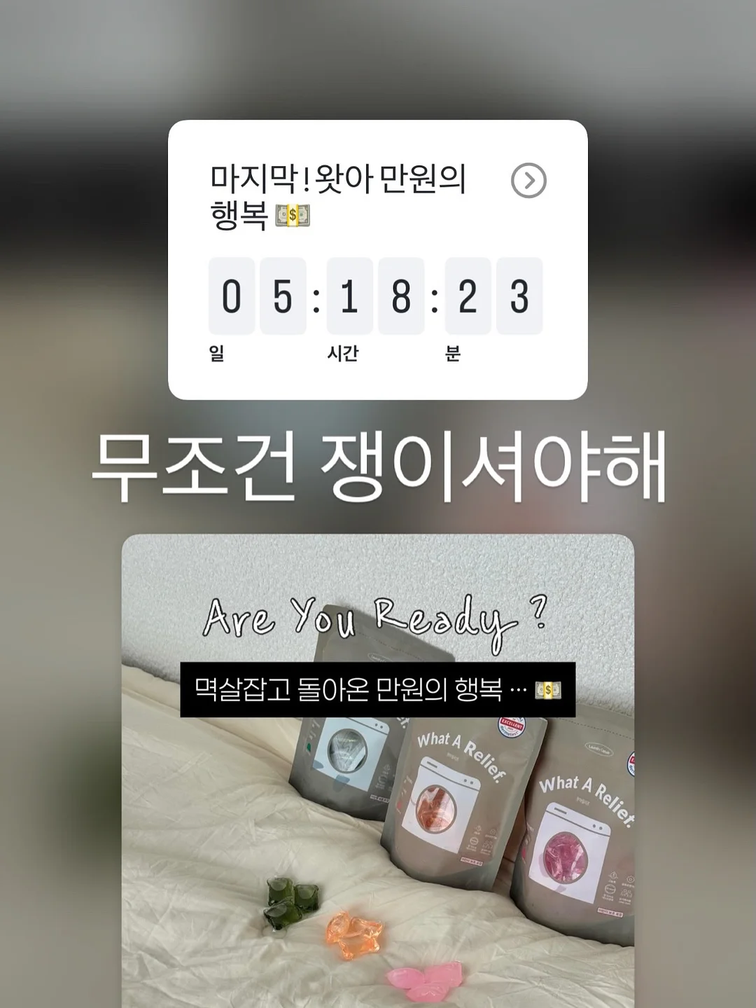 피조개회 20