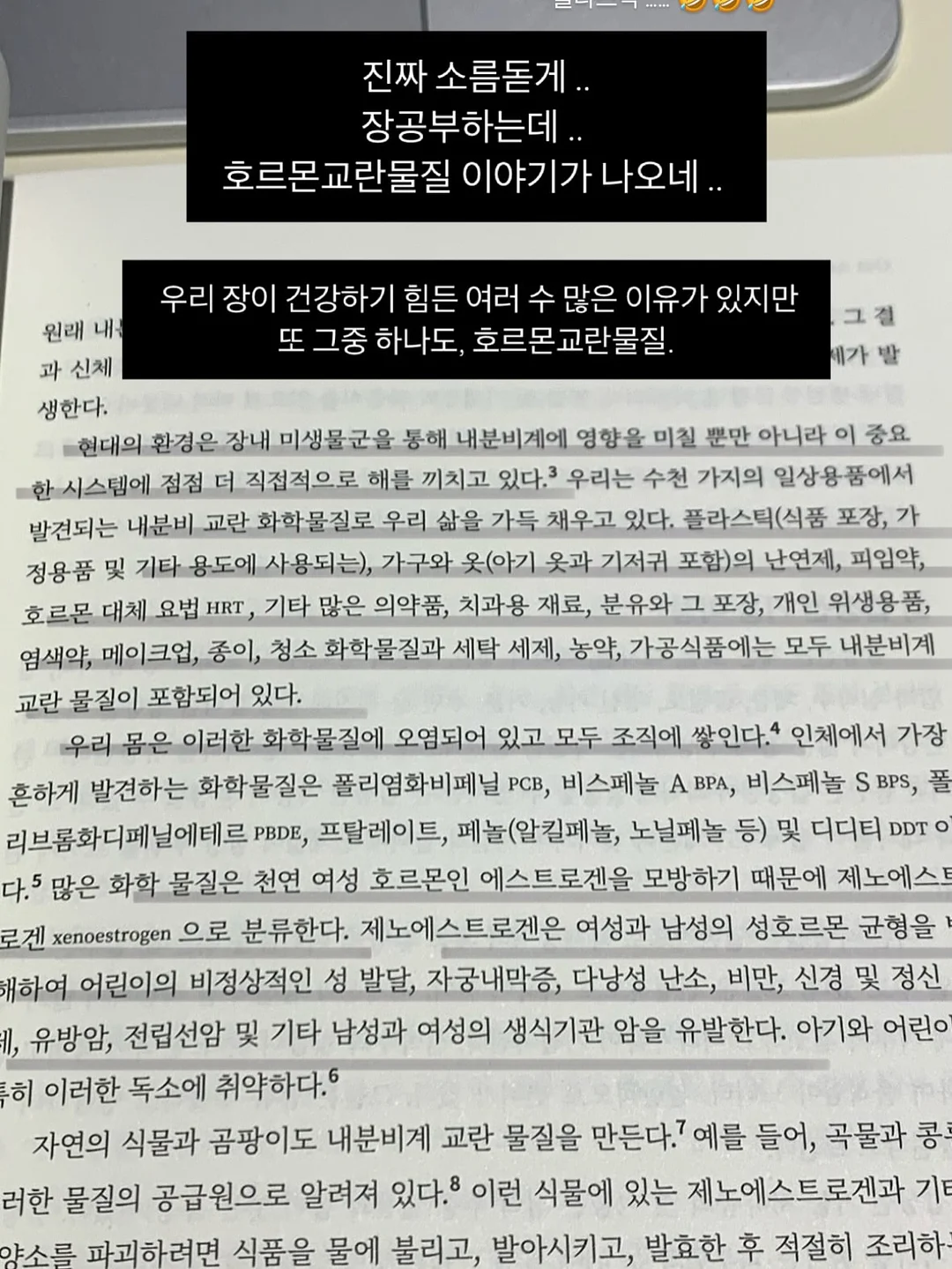 피조개회 7