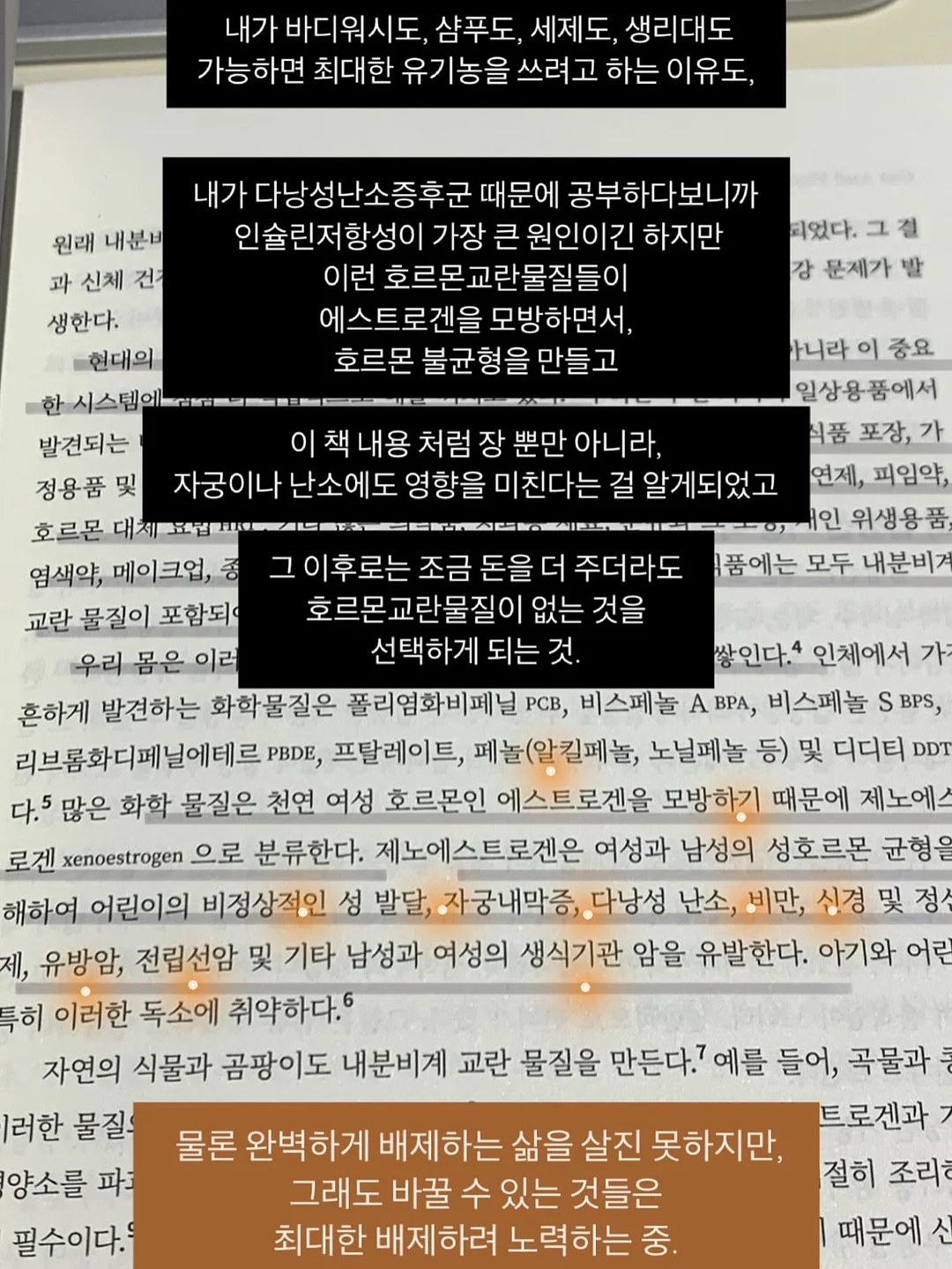 피조개회 8