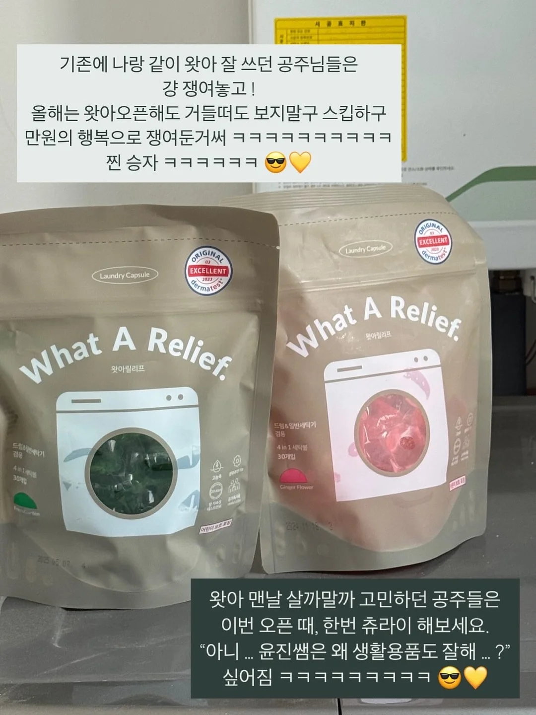 피조개회 10